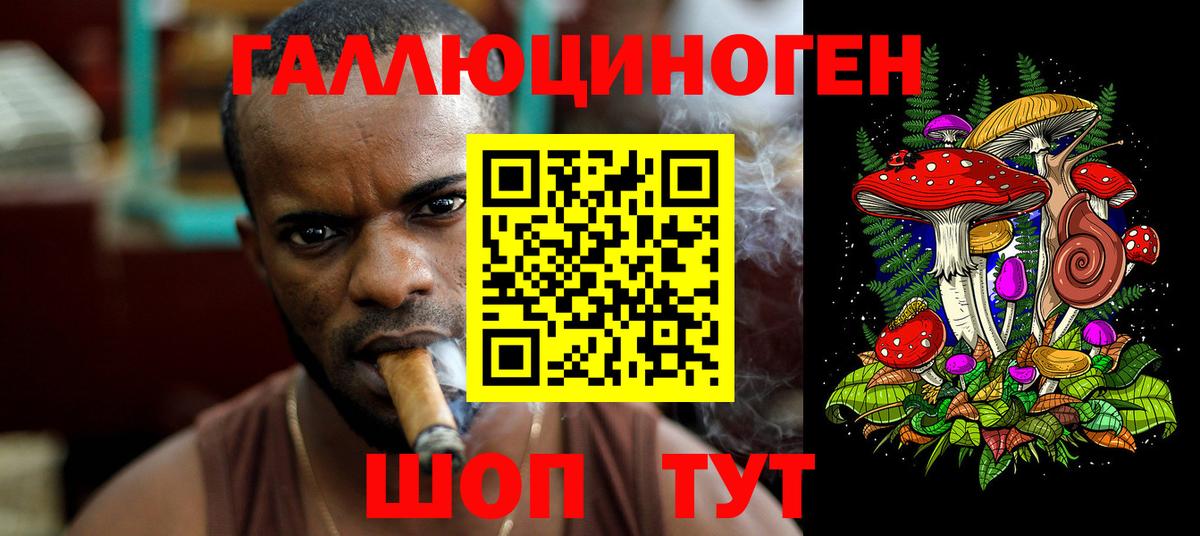 Псилоцибиновые грибы прущие грибы Гусь-Хрустальный